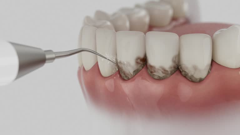 Reliable Emergency Dentist contractor in Lapeer County County, MI by Dentist Open Now